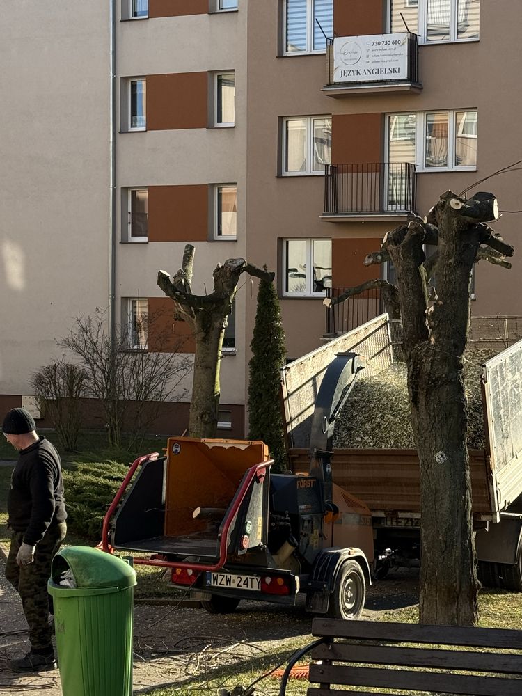 Wycinka drzew, karczowanie działek, koszenie, trudne zlecenia i inne