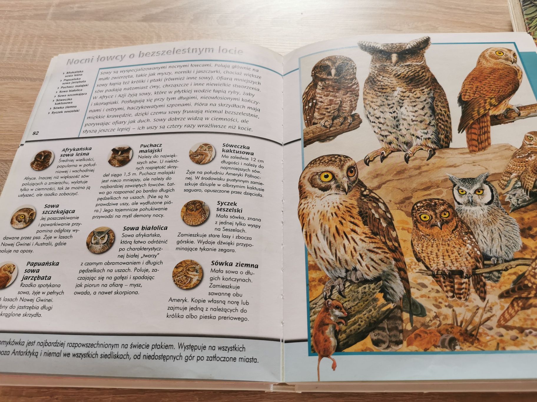 Atlas Zwierzęta świata Philip Wilson