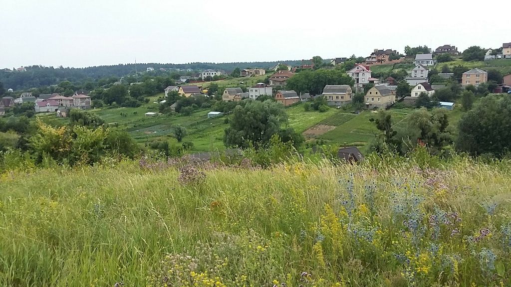 Лісники. Ділянка 100 соток.