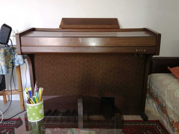 Vintage clássico organ orion