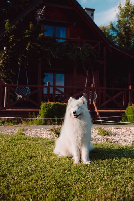 Dom do wynajęcia z sauną