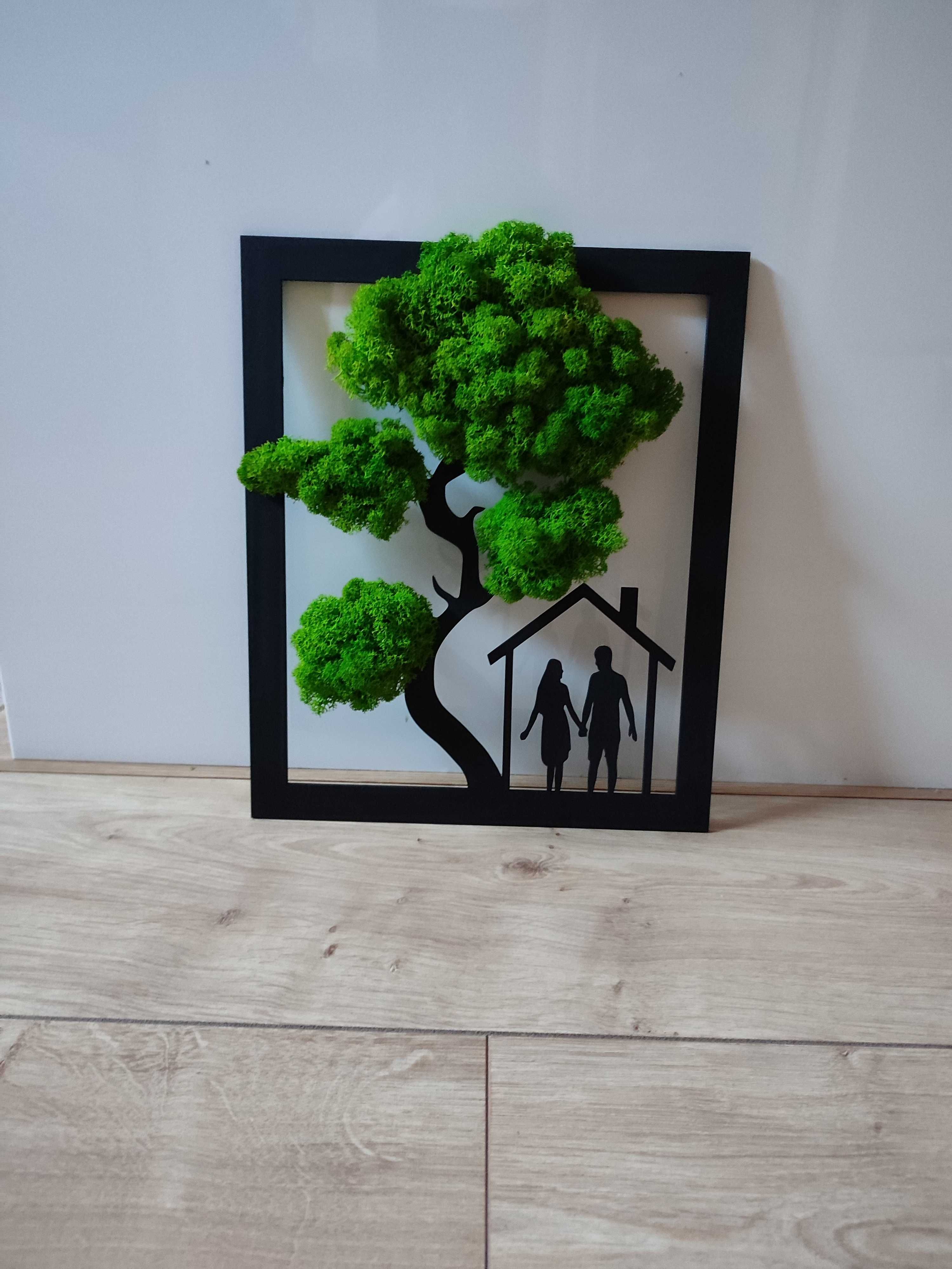 Ramka obraz drzewko z mchem chrobotkiem rodzina czarne
