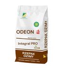 Rzepak ozimy DANKO ODEON 3ha zaprawiany materiał siewny