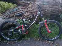Specialized status