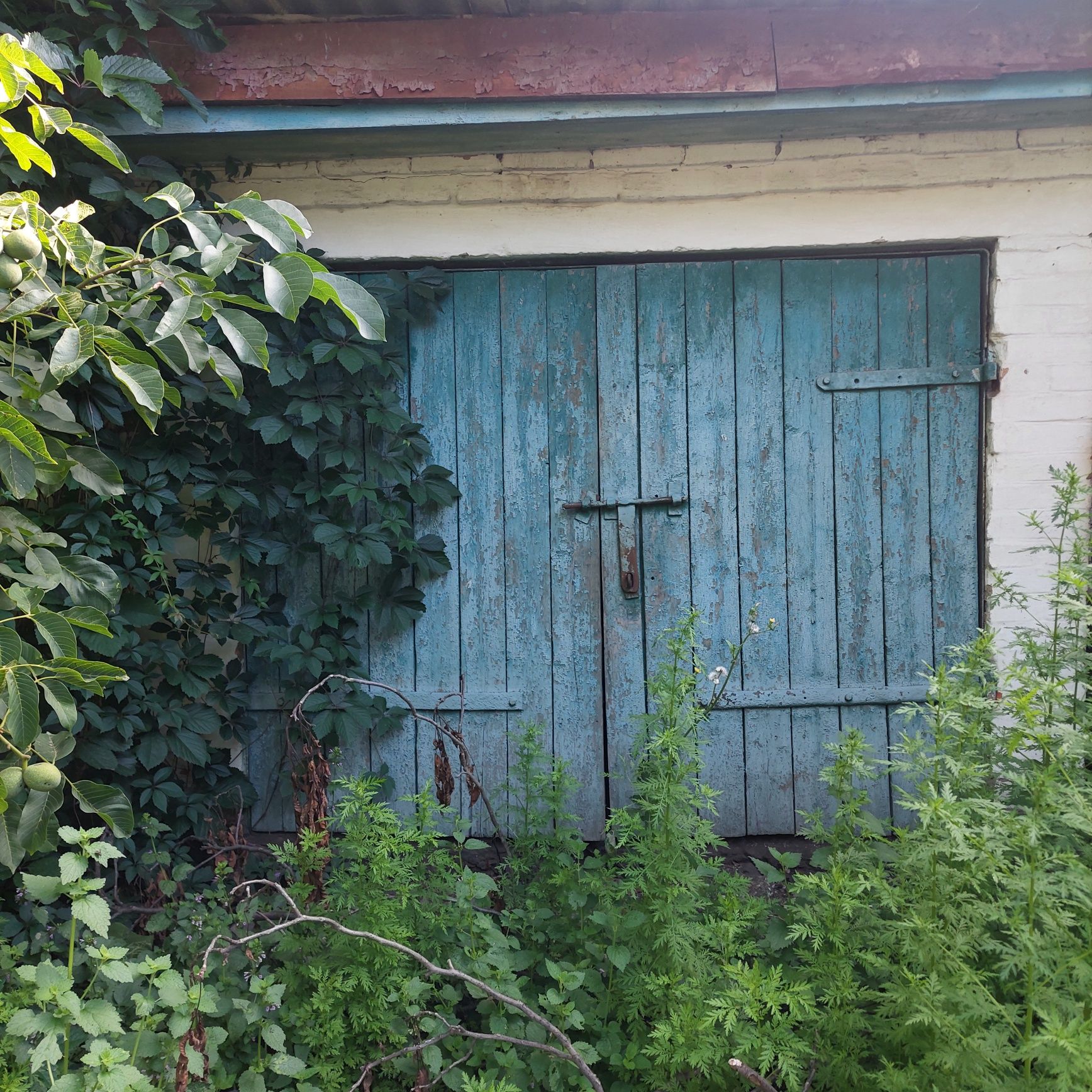 Продам будинок с. Зарудинці,  Ружинський р-н