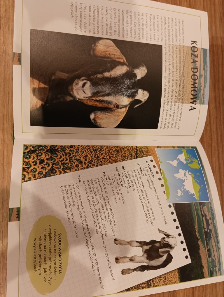 Atlas zwierząt dla dzieci