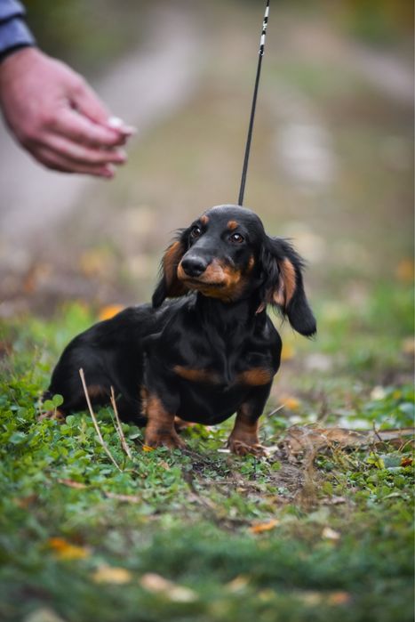 Неймовірно ніжна красуня