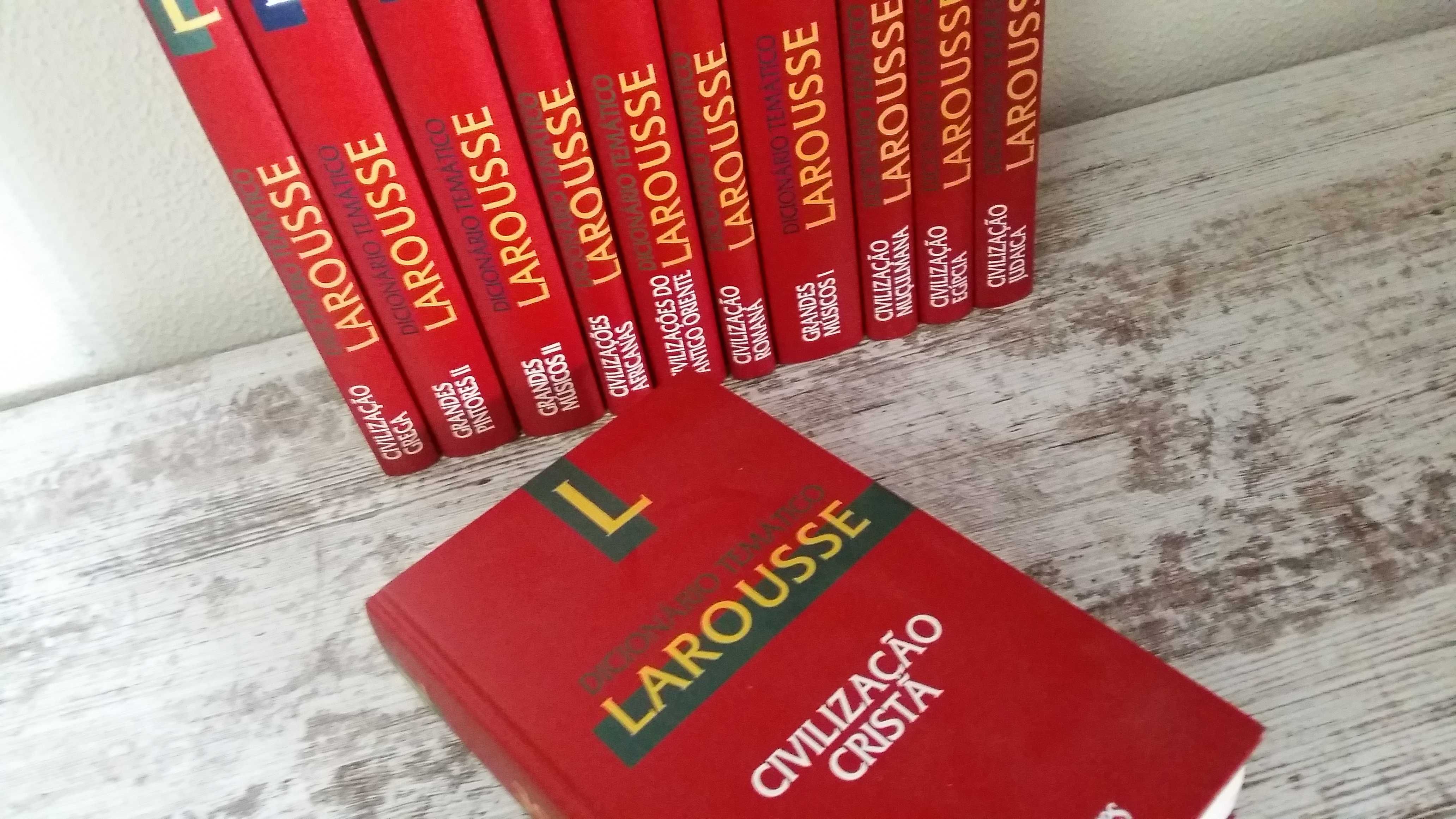 Livros Coleção Larousse Dicionário Temático