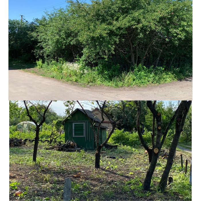 Спил аварийных деревьев, очистка участков, вывоз мусора, обрезка сада.