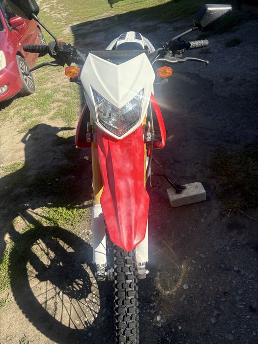 Продам надійного ,живого Geona