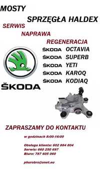 Sprzedaż oraz regeneracja mostów napędowych marki Skoda