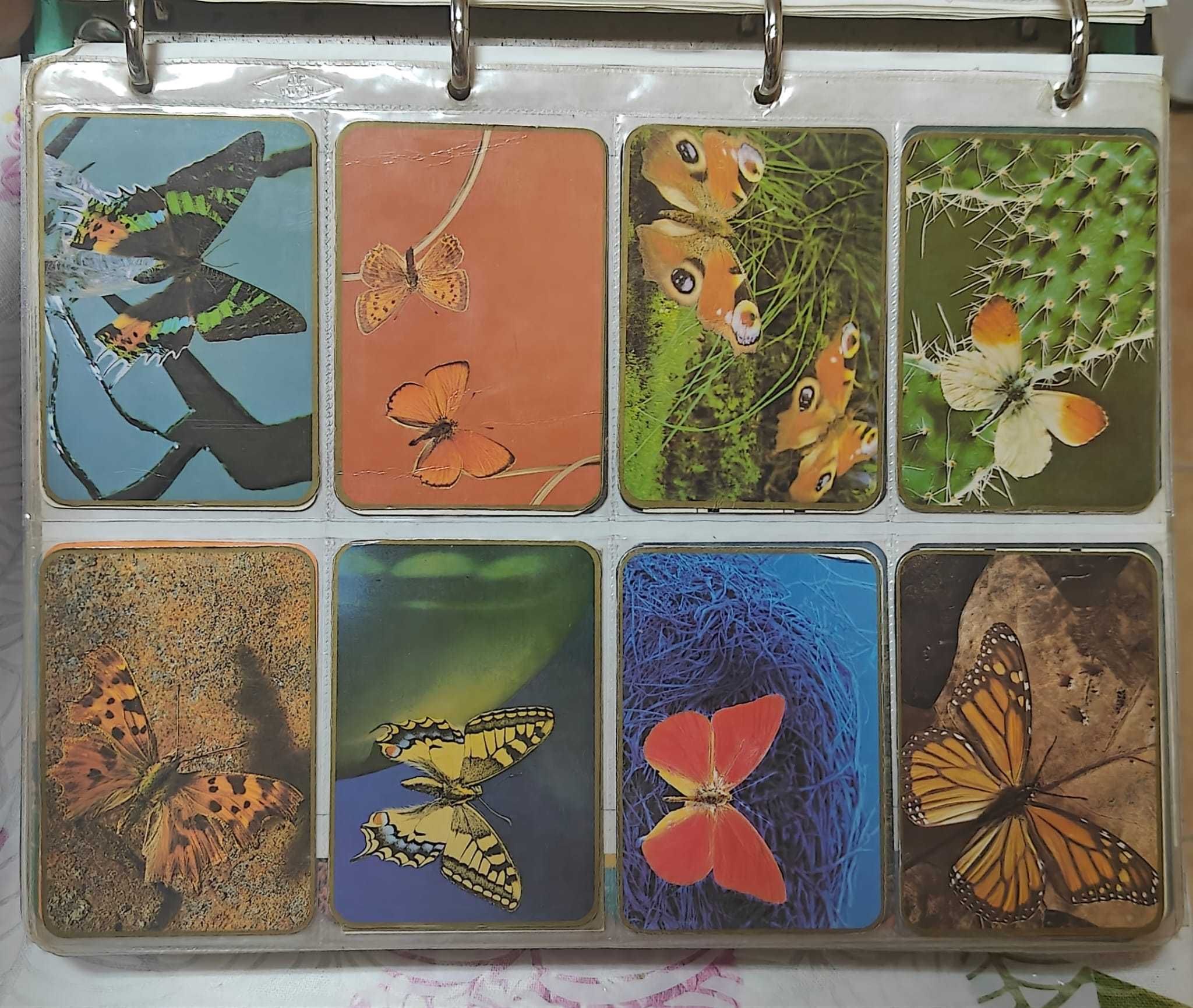 Album de Calendários de Bolso desde 1980