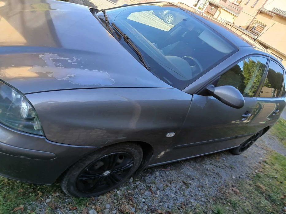 Seat Ibiza III 2003 r.