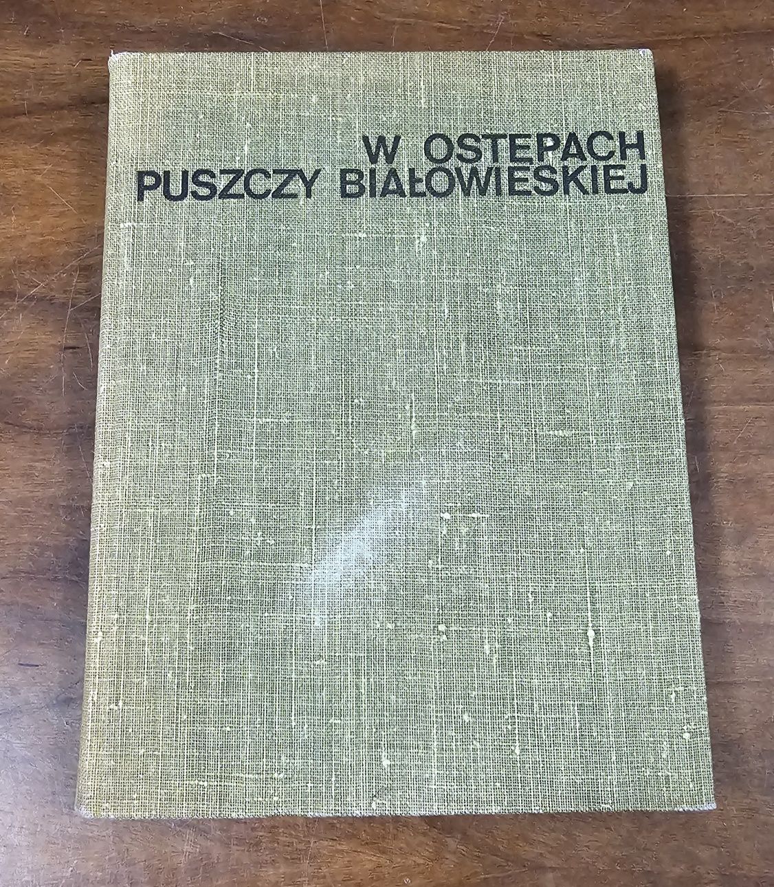 W Ostepach puszczy Bialowieskiej - Edward Więcko