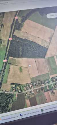 Sprzedam grunt 8,72 ha, działka Cewice Lębork