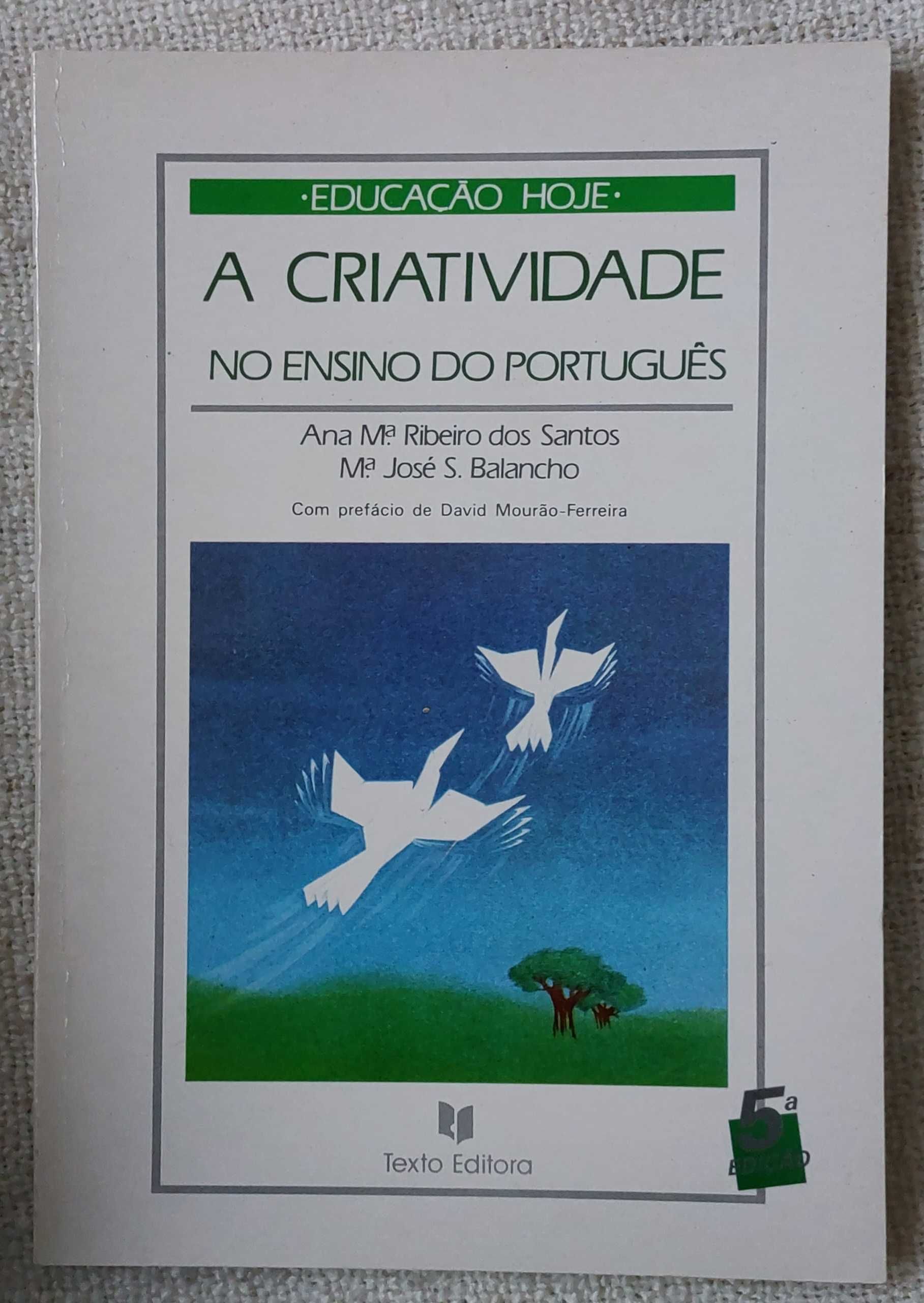 A Criatividade no ensino de Português