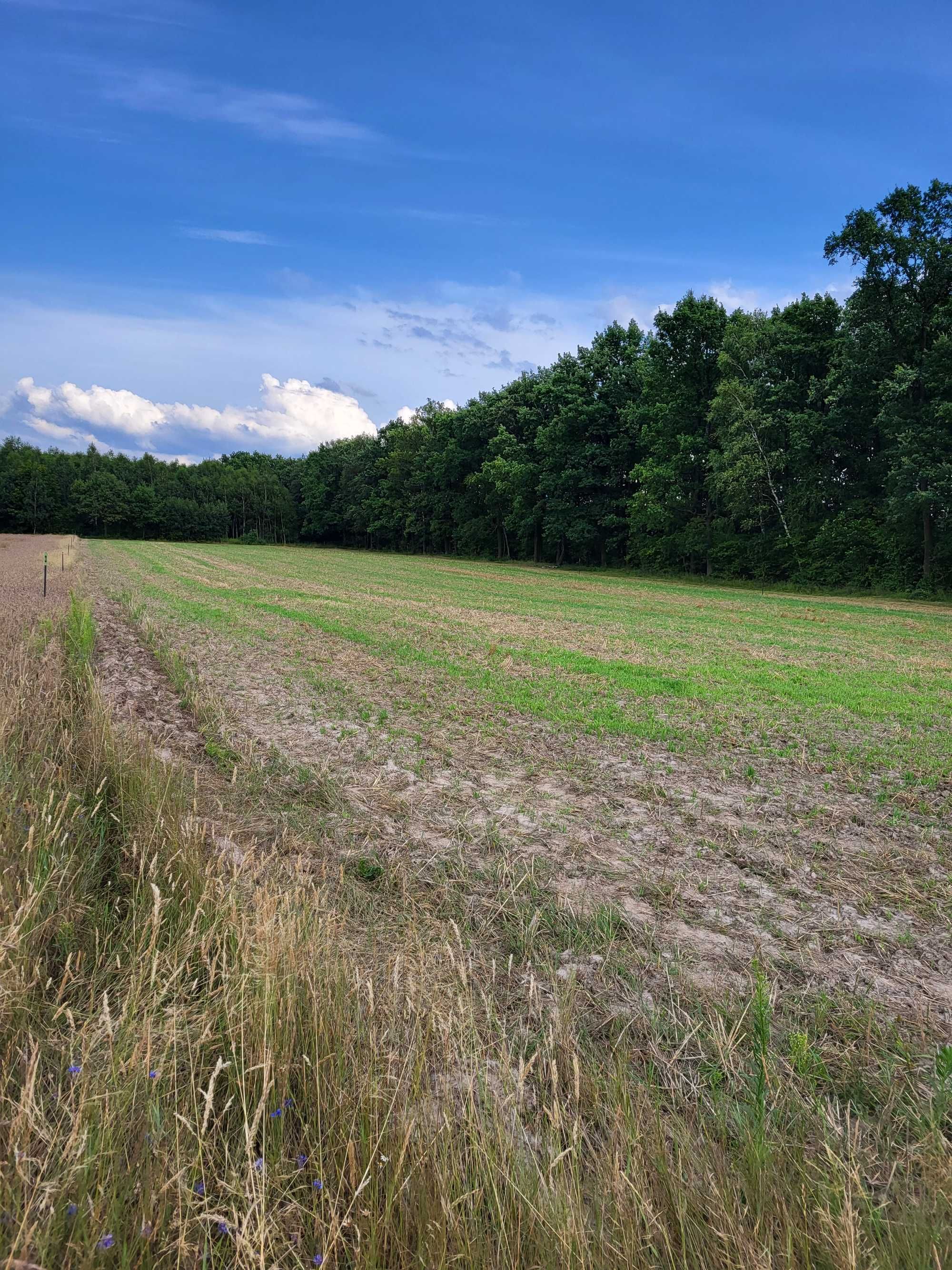 Działki nad jeziorem Piaseczno