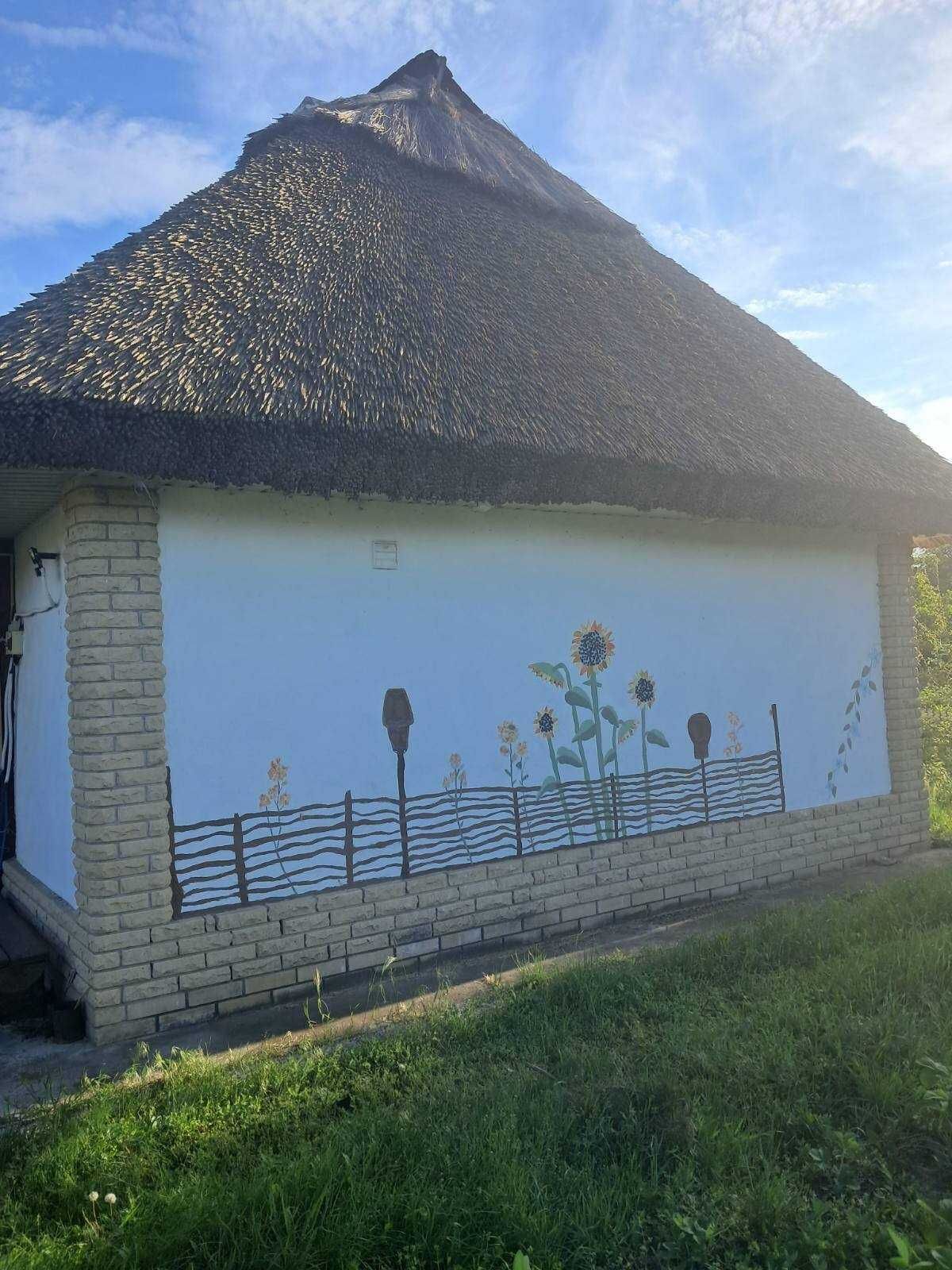 Продаж унікального будинку в Деріївці