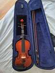 Violino de cervini