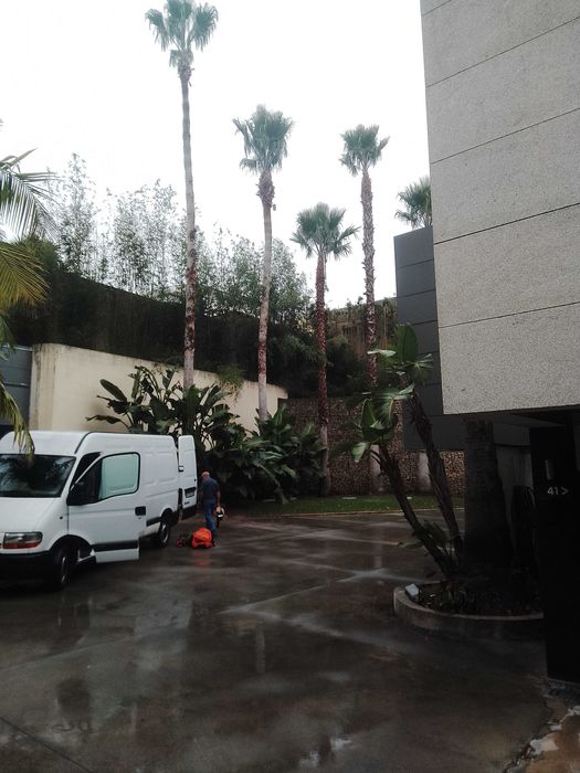 Jardinagem / Podas de sebes e árvores / Limpezas de terrenos