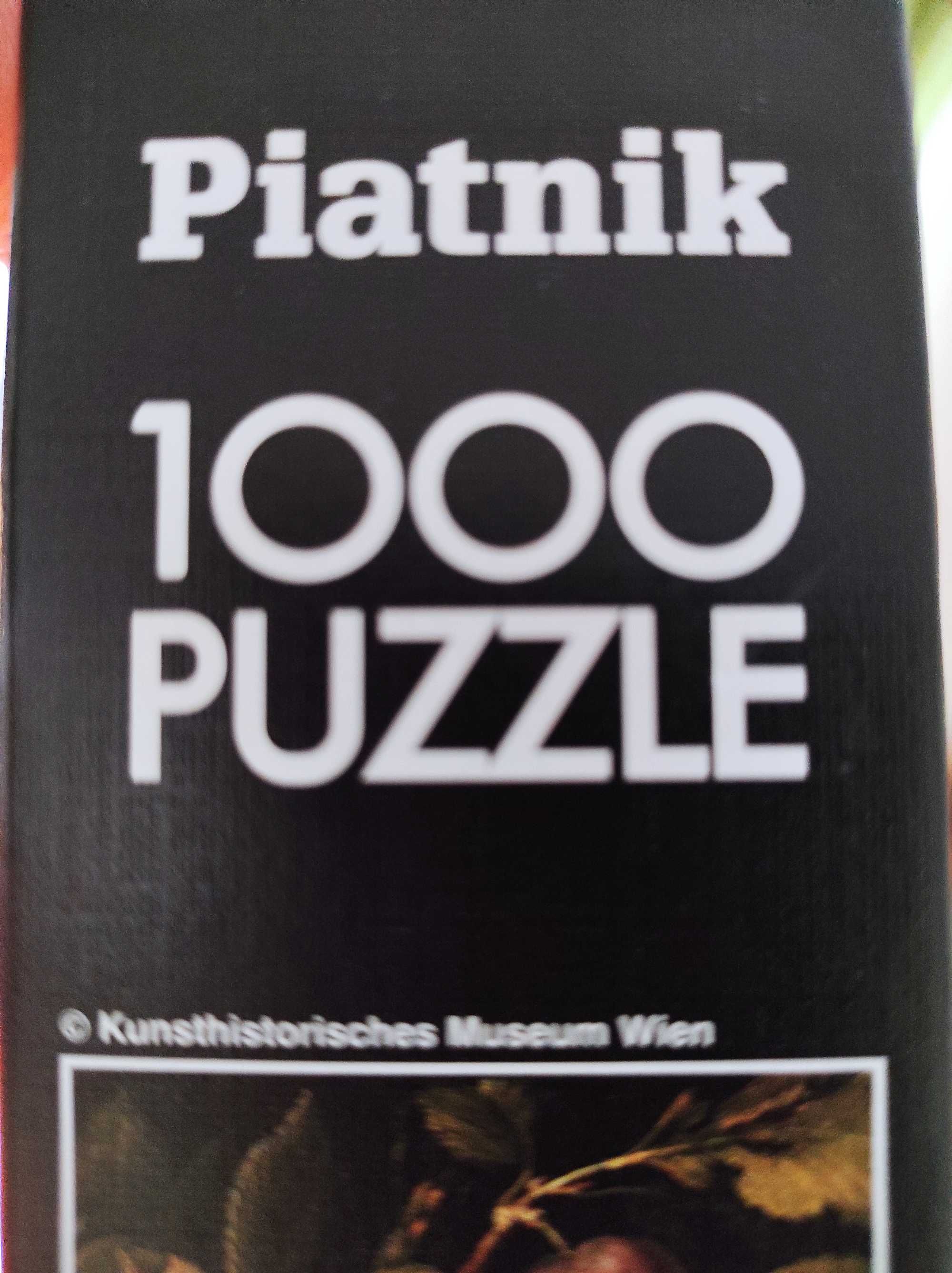 Puzzle 1000 Piatnik