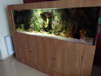 Akwarium 650l 180x60x60