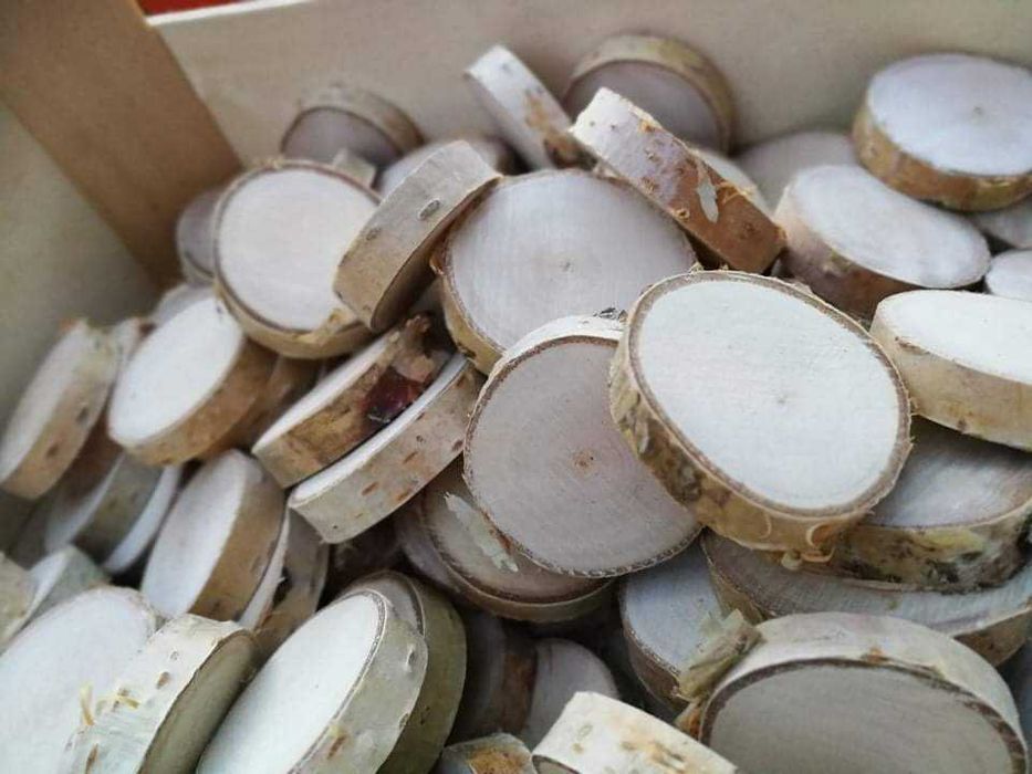 Plastry brzozy - Paczka 100 sztuk, Suche