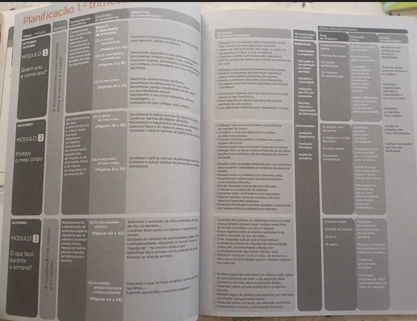 O MUndo da Carochinha Estudo do Meio 1º Ano - Manual do Professor