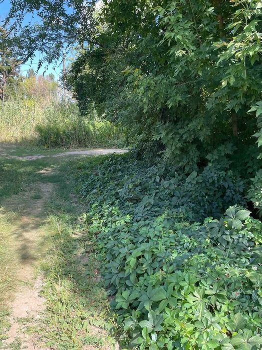 Продаж землі Дніпро, Яружна