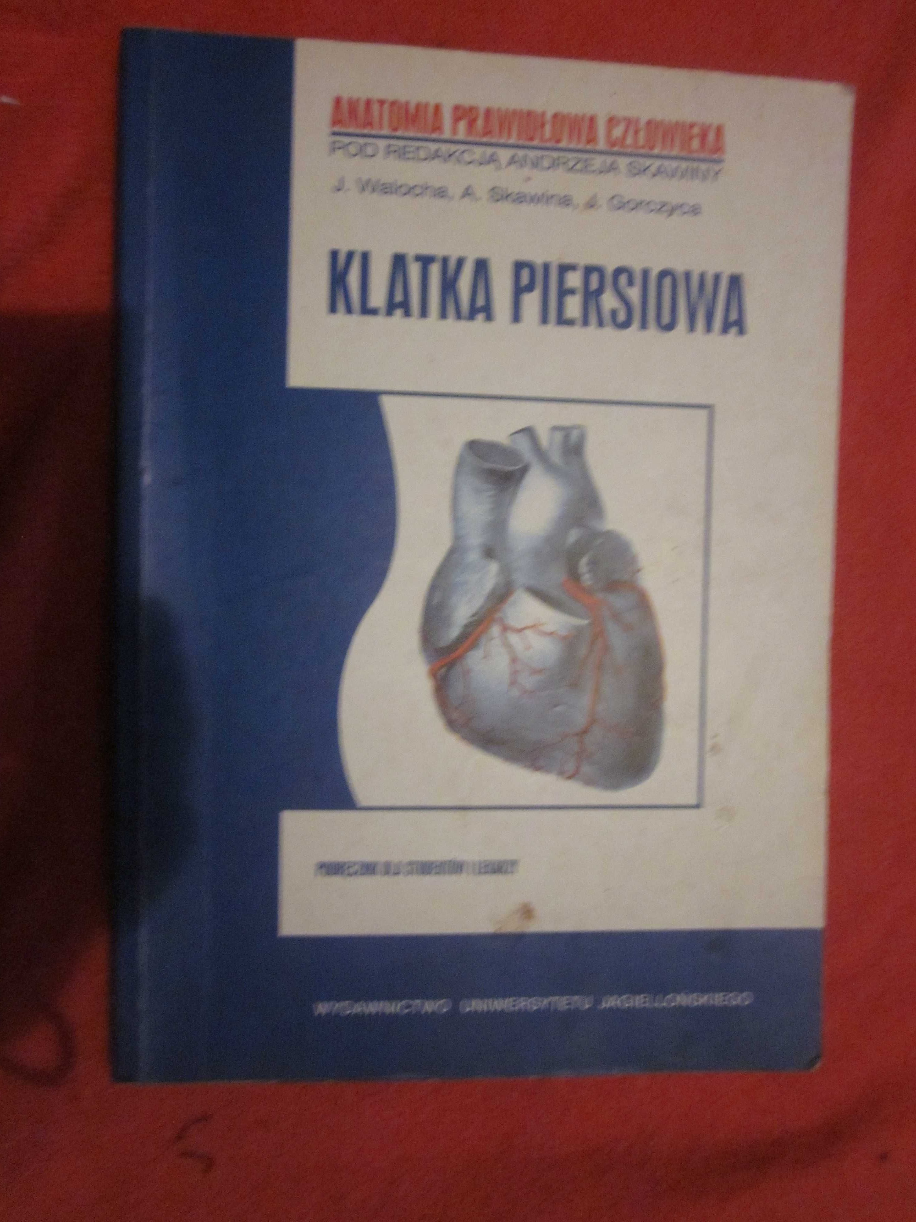 anatomia prawidłowa człowieka-klatka piersiowa
