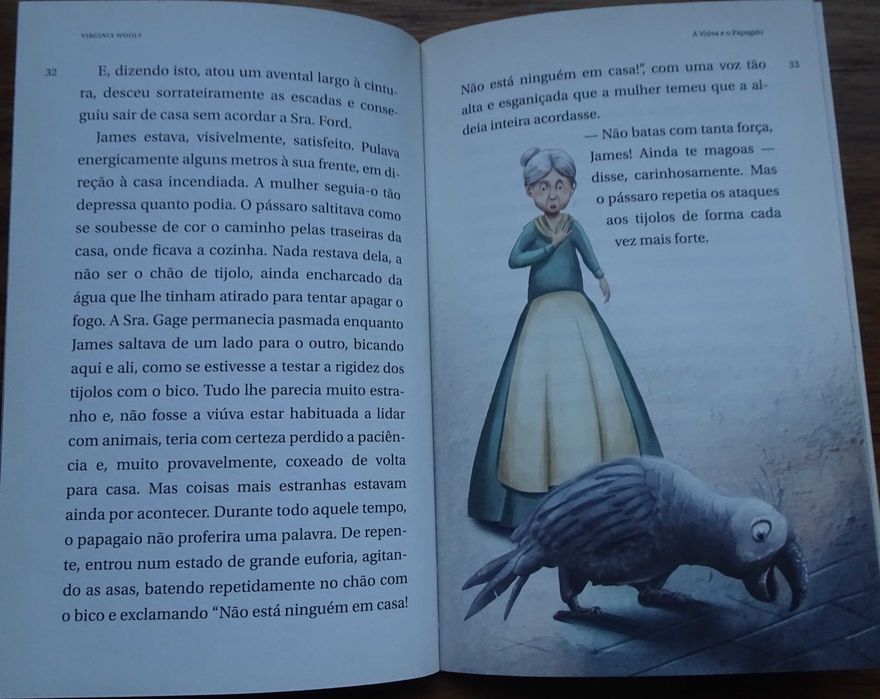 A Viúva e O Papagaio de Virginia Woolf