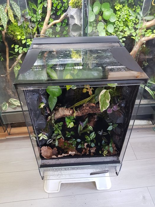 Terrarium 40x40x60 gekon.