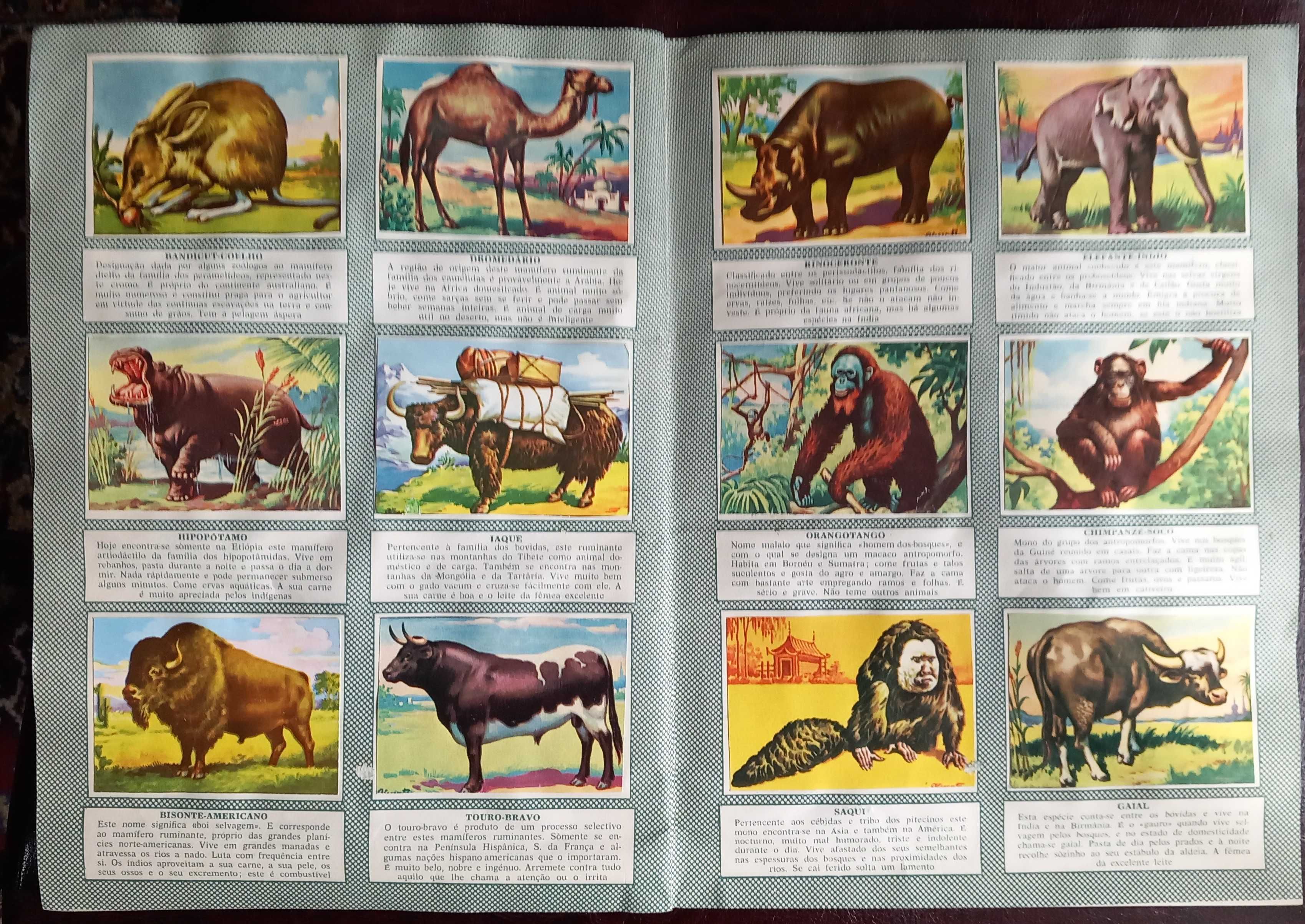 Caderneta  Cromos Historia Natural - série 4 álbum 2° [completa]