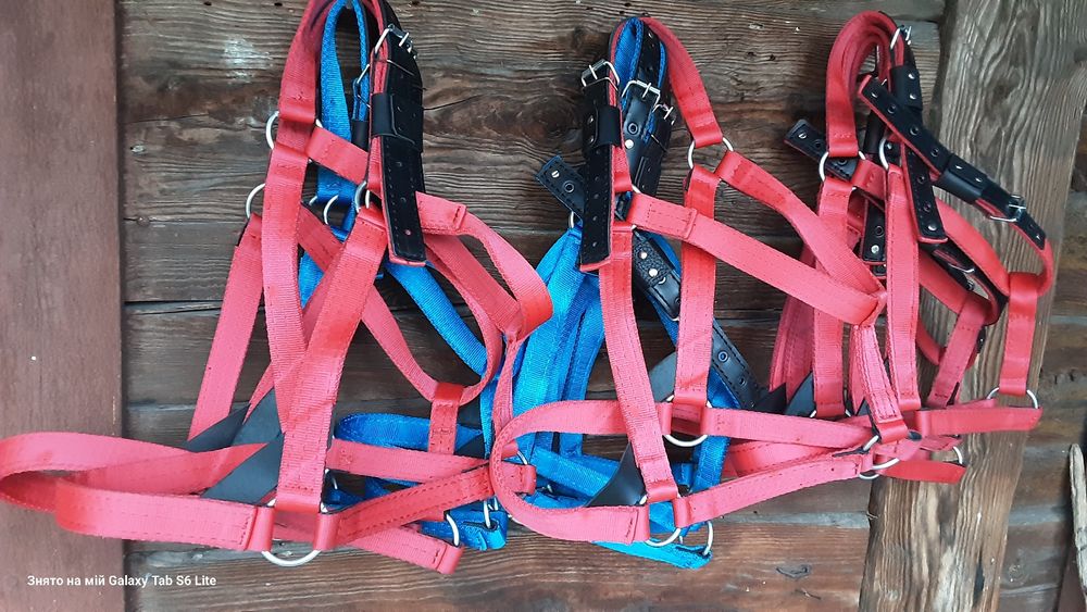 Упряж для коней хама для поні