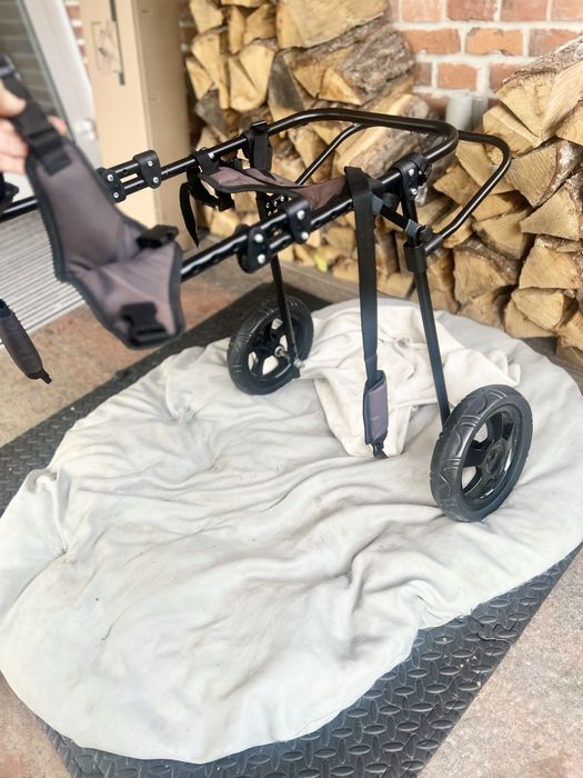 Wozek inwalidzki dla psa owczarka wiekszego psa