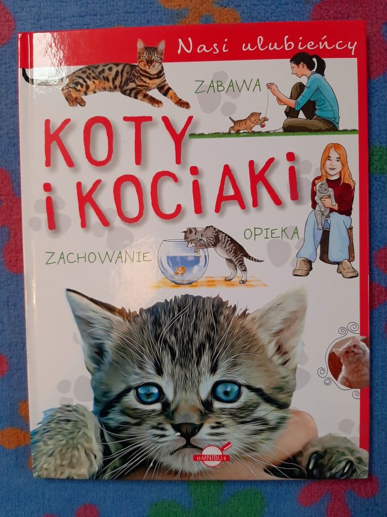 Książka "Koty i kociaki"