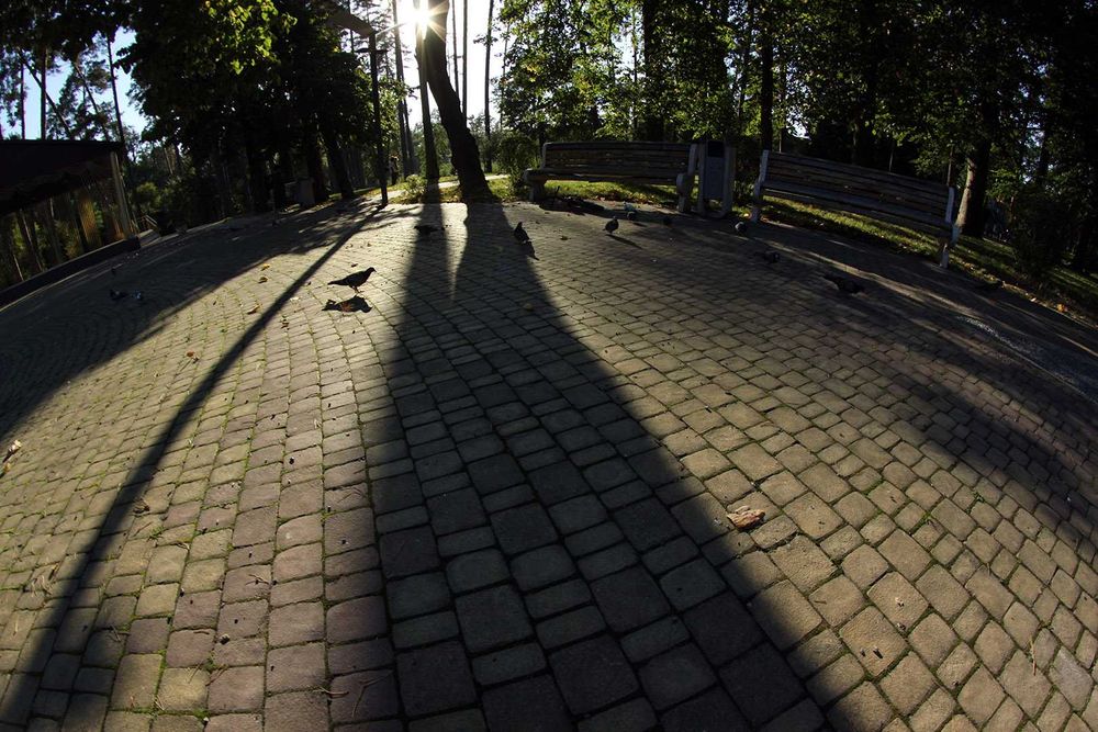 Rokinon (Samyang) 8mm 1:3.5 Fish-EYE CS Aspherical - Canon фішай