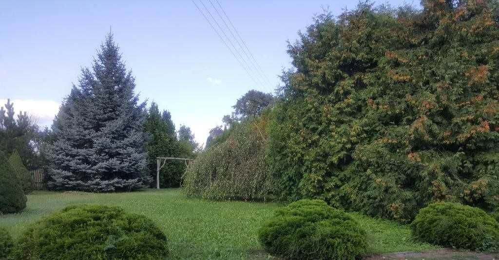Sprzedam dom Mazurach + hala , 2 garaże.