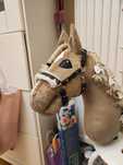 Kantar dla hobby horse