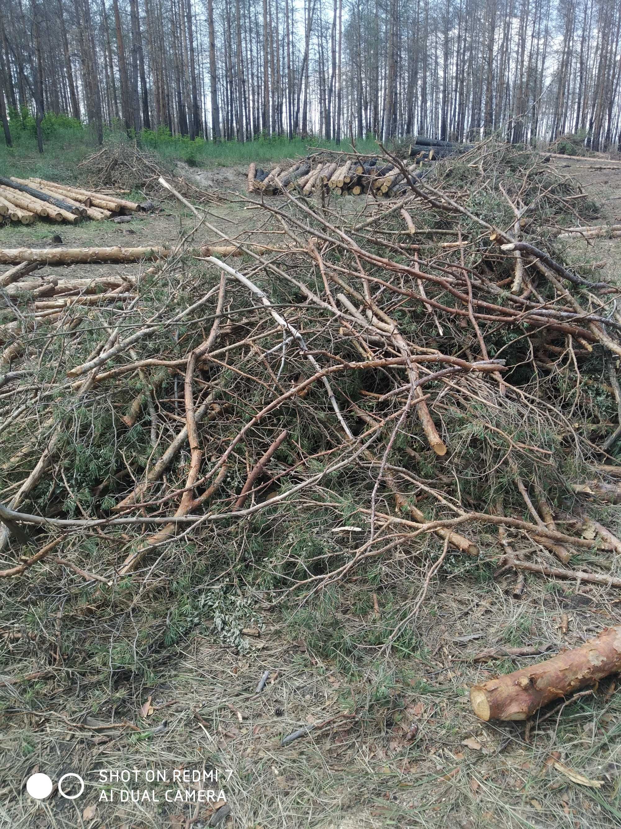 Ветки и хмыс дрова
