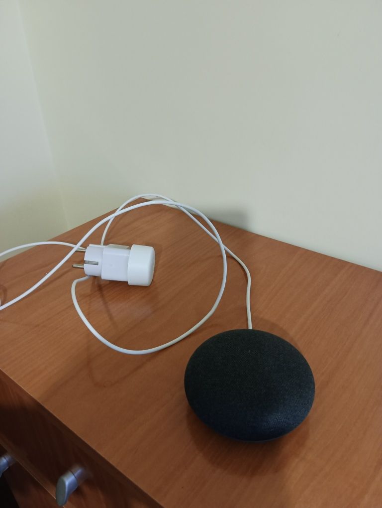 Google Assistente Mini Home