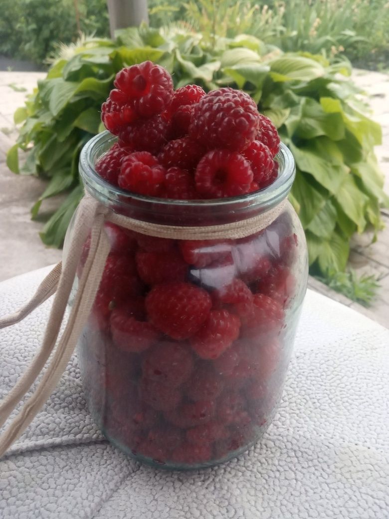 Продам малину зі своєї ділянки