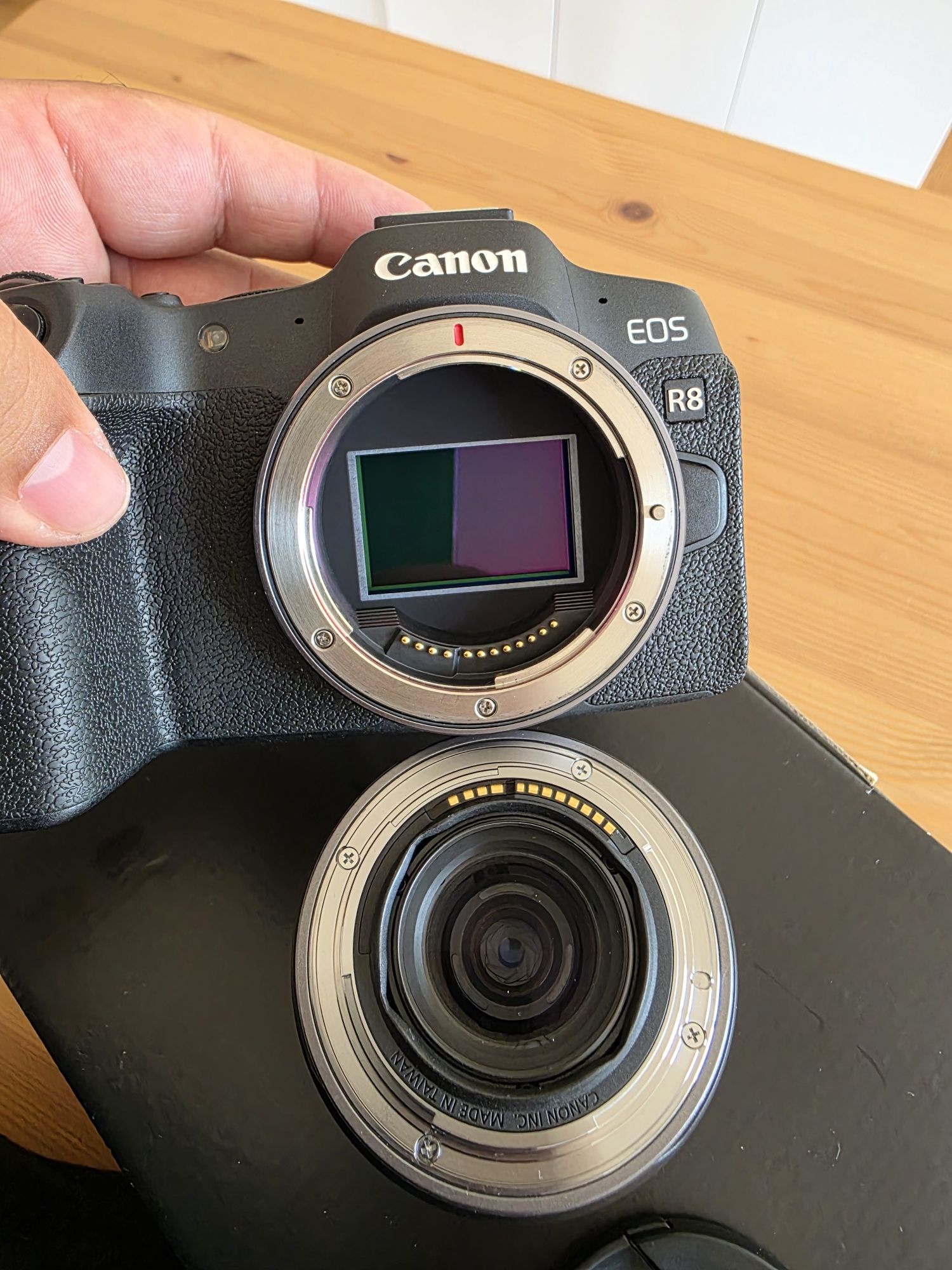 Canon R8 com a objetiva Canon RF 24-105