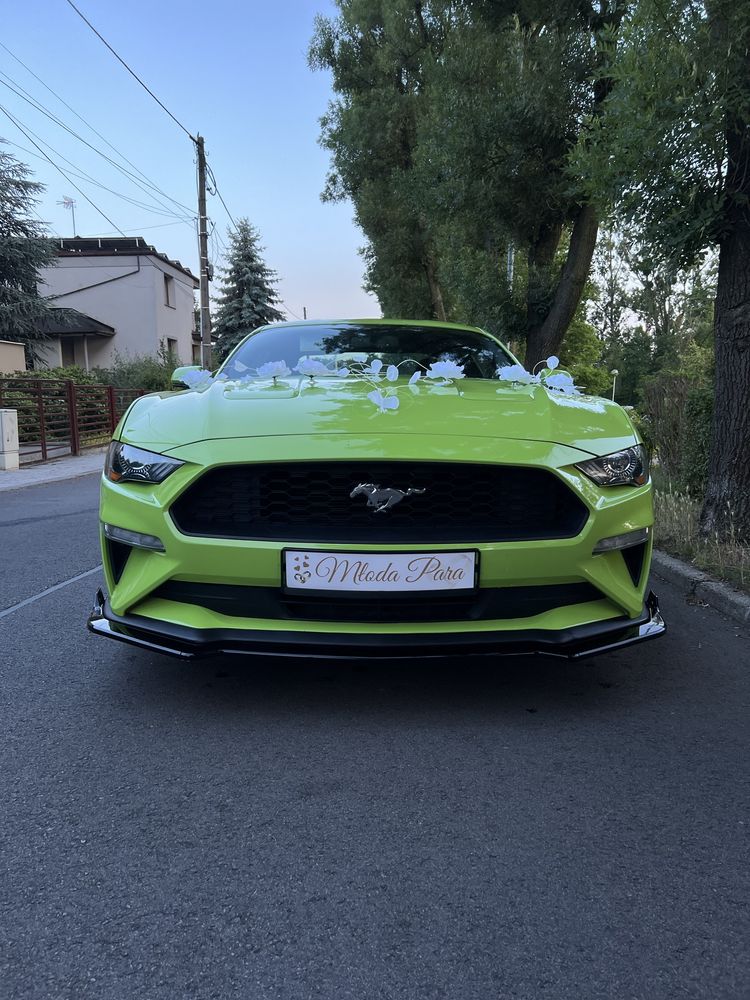 Ford Mustang 2.3 EcoBoost 317 KM do Ślubu i Innych Okazji