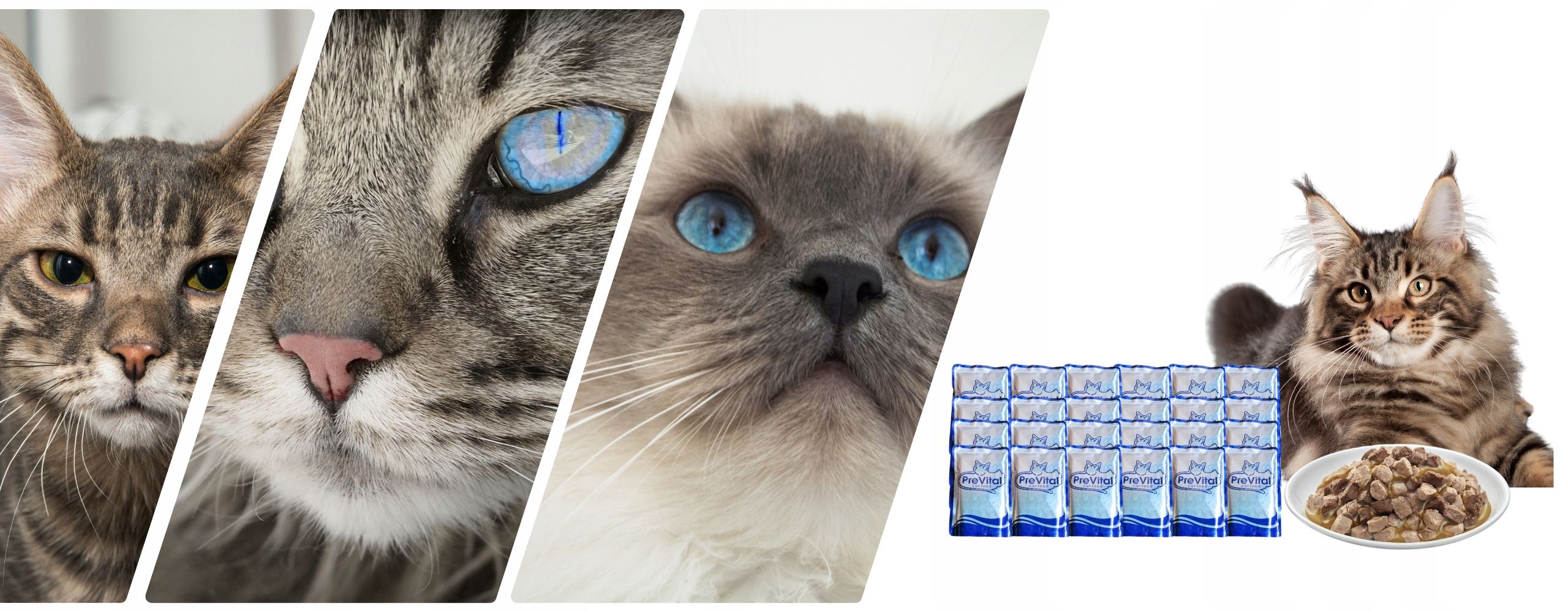 Mokra karma dla kota Prevital mega box 24 saszetki mix 100g