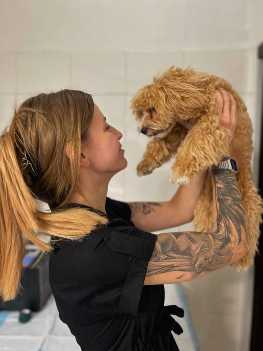 Передержка животных/Перетримка тварин /Готель для тварин /Вигул