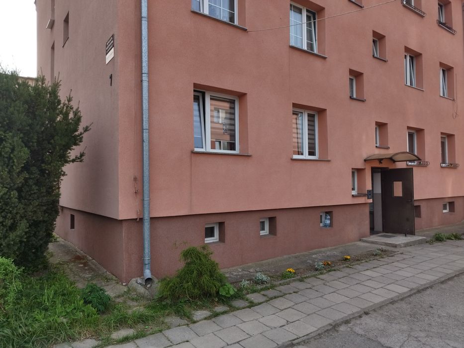 Wynajmę mieszkanie 42 m2 z garażem i ogrodem !