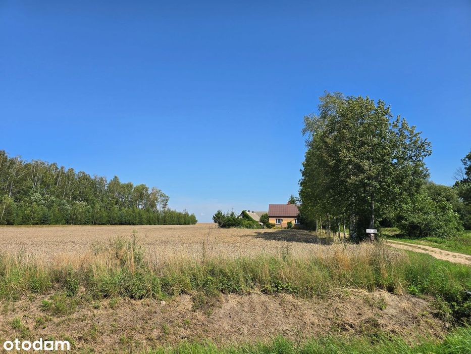 Urokliwe siedlisko na Podlasiu – cisza, spokój i bliskość natury