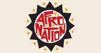 Bilhete AfroNation (preço 1st release)