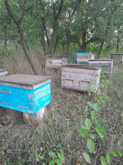 Продам вулики в непоганому стані